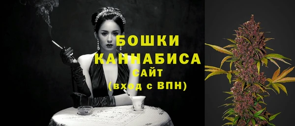 spice Дмитриев