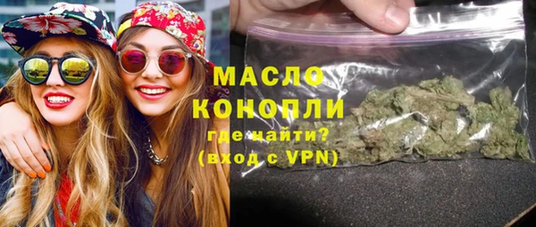 spice Дмитриев