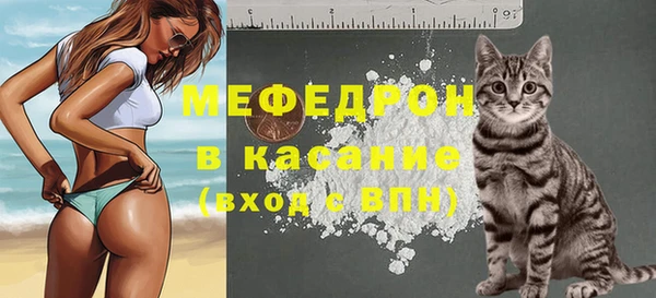 spice Дмитриев