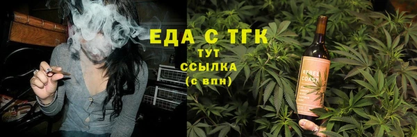 spice Дмитриев