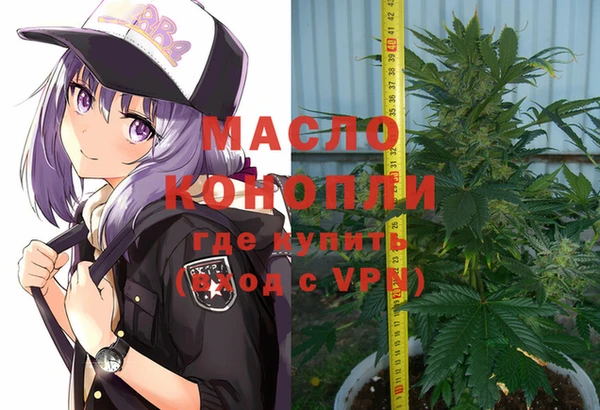 spice Дмитриев