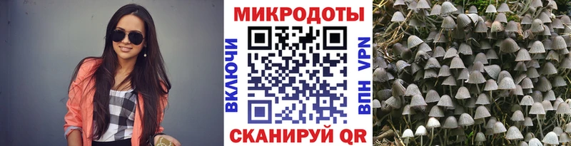 Купить закладки  Саки  Галлюциногенные грибы мицелий 
